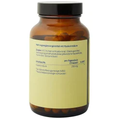 glims® Hyaluronsäure 250mg vegan><noscript><img data-lazyloaded=