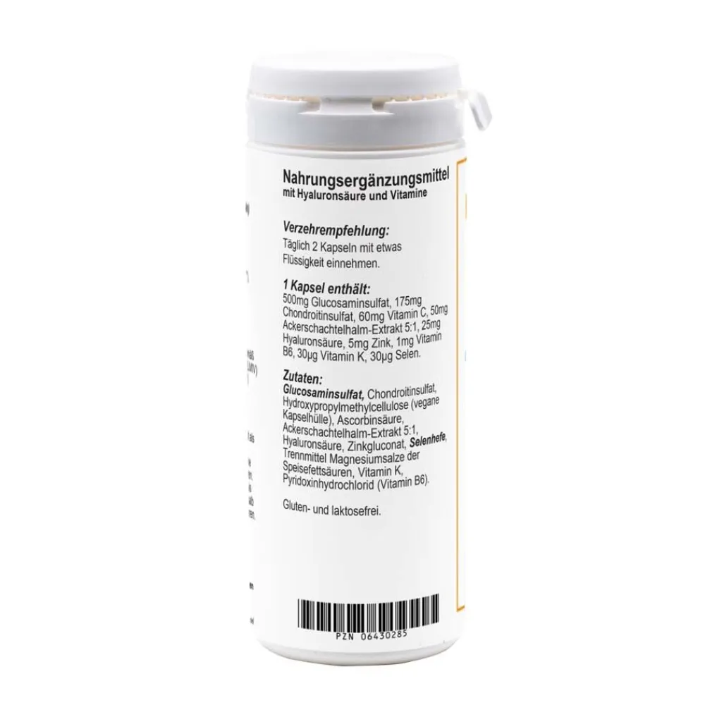 Glucosamin Chondroitin Hyaluron Plus| Clearance