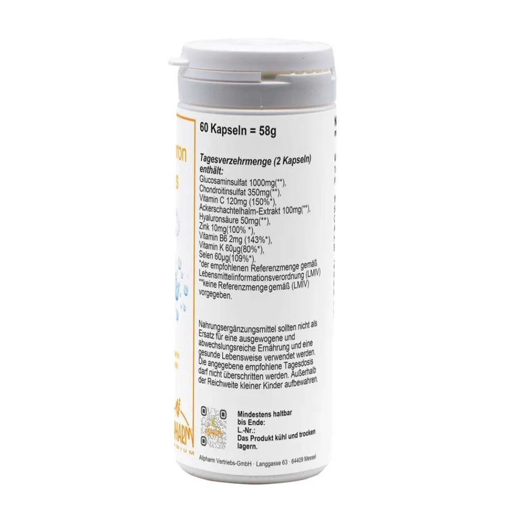 Glucosamin Chondroitin Hyaluron Plus| Clearance