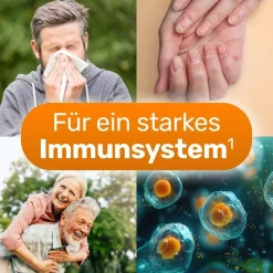 GLYCOWOHL® Zink-Komplex 25 mg hochdosierte Kapseln vegan| New