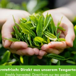 Goodwei Bio Sencha Grüntee "Four Seasons"| Sale