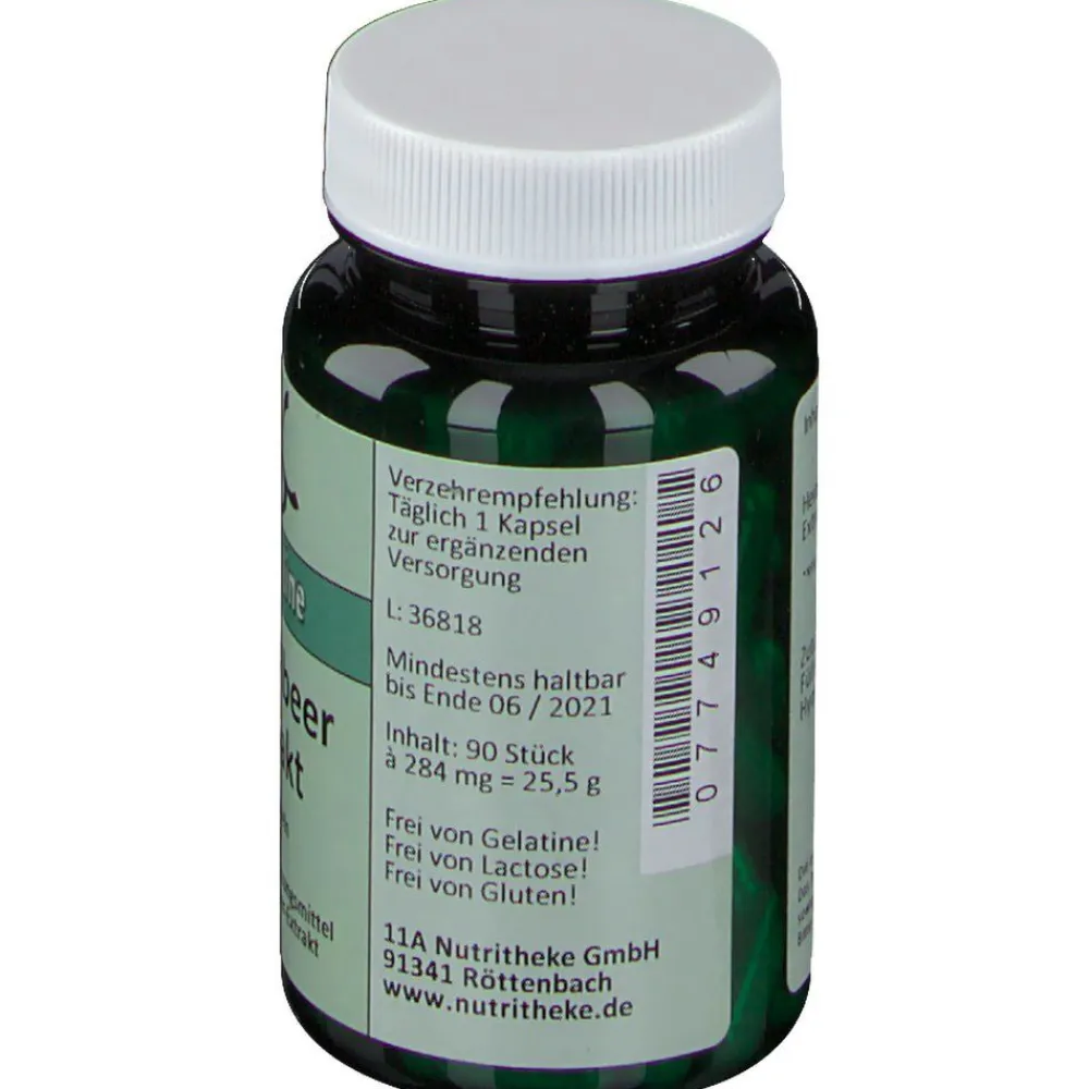 NUTRITHEKE Heidelbeer Extrakt>green line