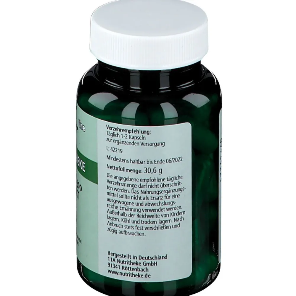 NUTRITHEKE Ingwer 300 Extrakt>green line Outlet