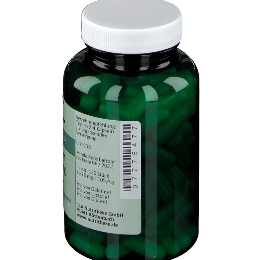 NUTRITHEKE Kalium 200 mg|green line Best