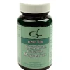 NUTRITHEKE Kieselerde Calcium Magnesium|green line Best
