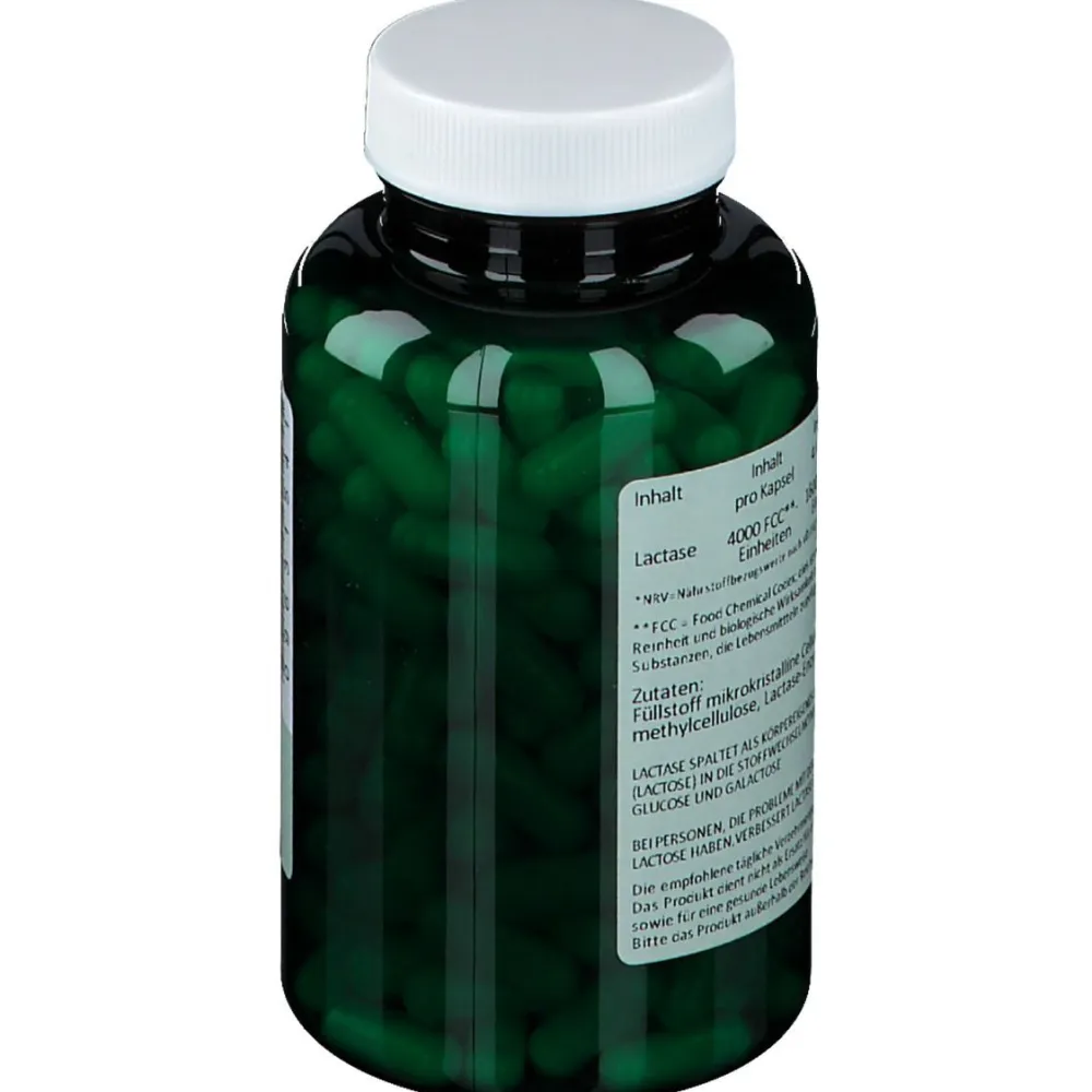 green line NUTRITHEKE Lactase 4000 FCC Enzym| Outlet