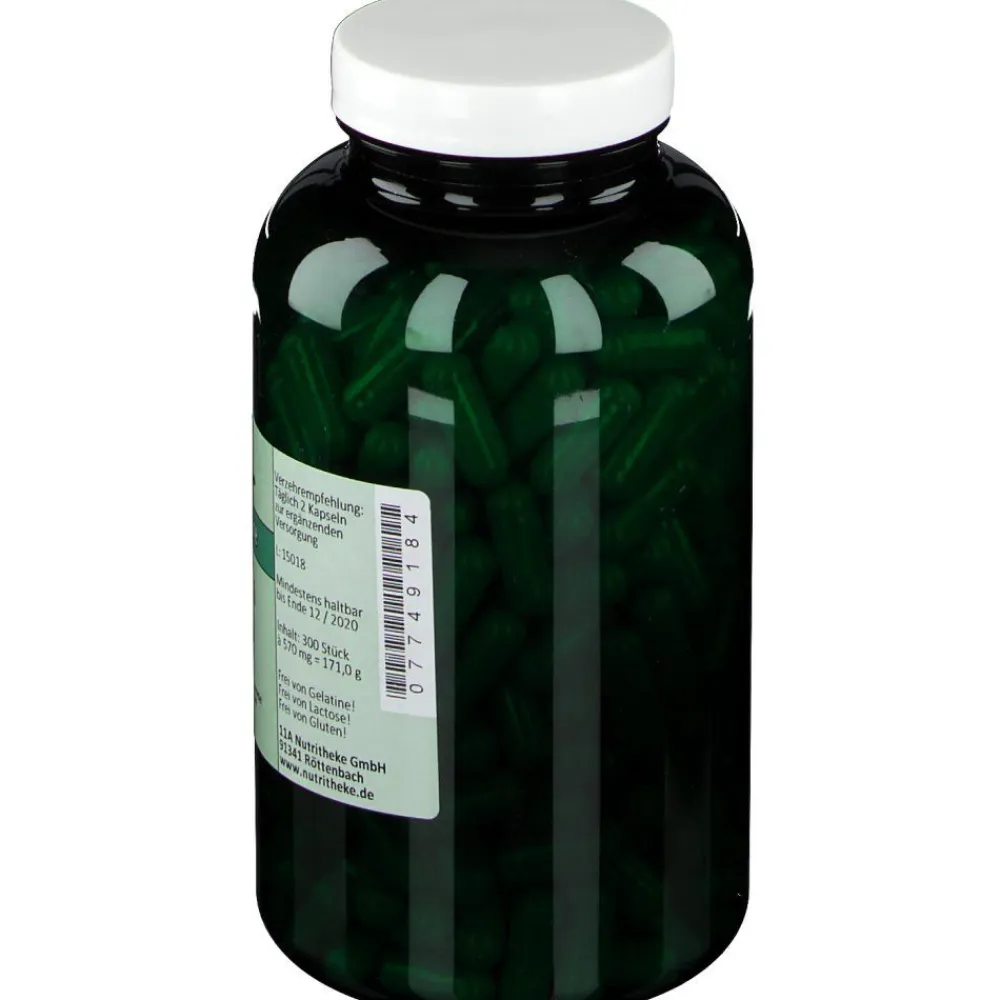 NUTRITHEKE Reishi>green line Outlet