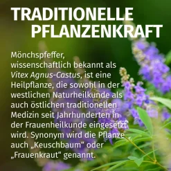 Mönchspfeffer 20 mg hochdosiert><noscript><img width=
