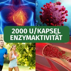 Nattokinase 100 mg vegan><noscript><img width=