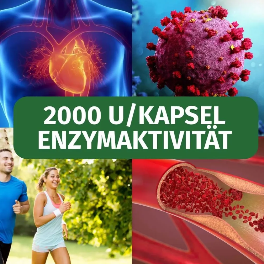 Nattokinase 100 mg vegan>GREEN NATURALS Outlet