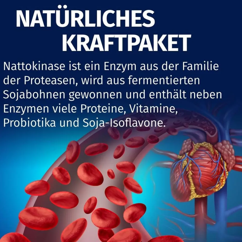 Nattokinase 100 mg vegan>GREEN NATURALS Outlet