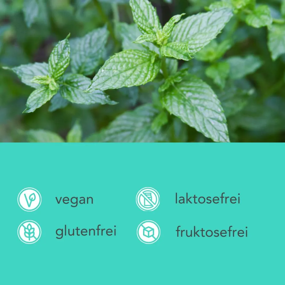 Grüne Minze Kapseln - Spearmint> New