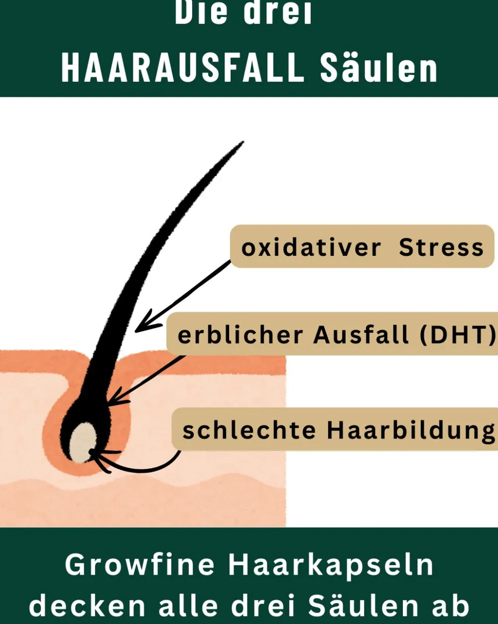 Growfine® Haarkapseln>