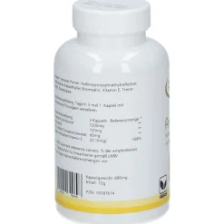 Hannes pure Lebenslust® ANANAS| Discount