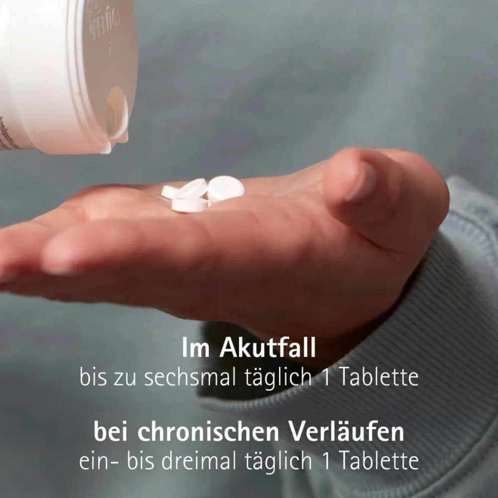 Haus- und Reiseapotheke Nr. 13-27| Outlet