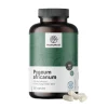 HealthyWorld Pygeum – Extrakt aus afrikanischem Pflaumenbaum> Best
