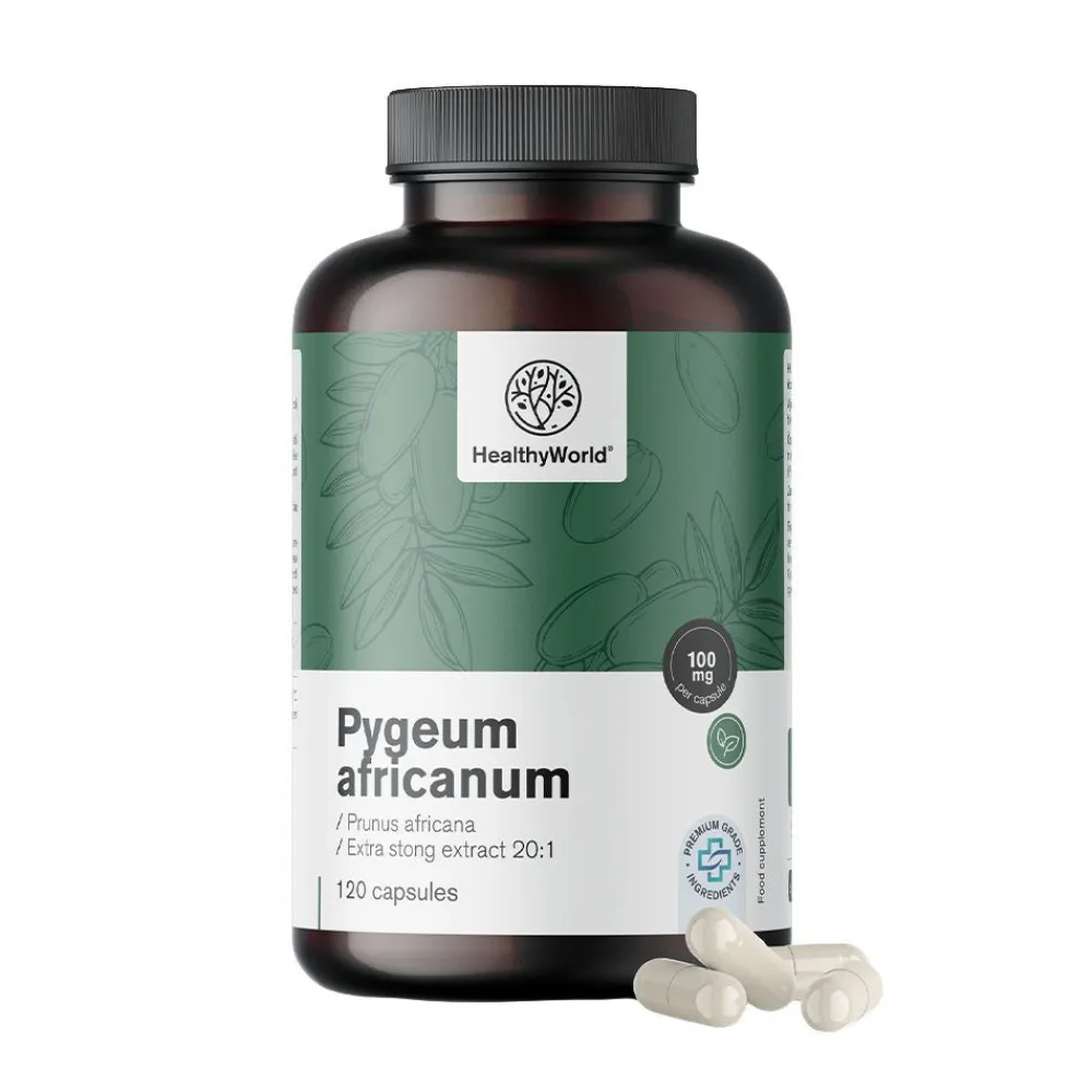 HealthyWorld Pygeum – Extrakt aus afrikanischem Pflaumenbaum> Best