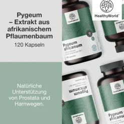 HealthyWorld Pygeum – Extrakt aus afrikanischem Pflaumenbaum><noscript><img width=
