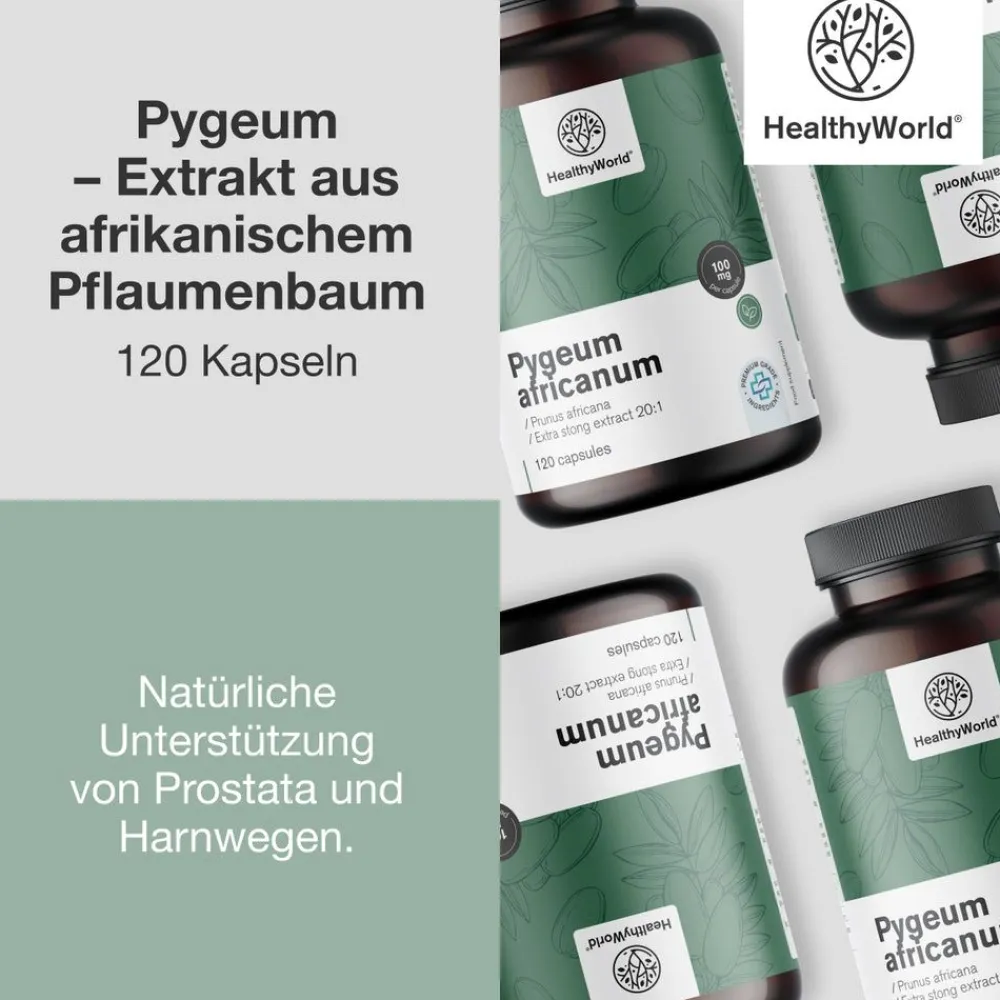 HealthyWorld Pygeum – Extrakt aus afrikanischem Pflaumenbaum> Best