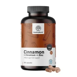 HealthyWorld Zimt mit Chrom und Zink> Hot