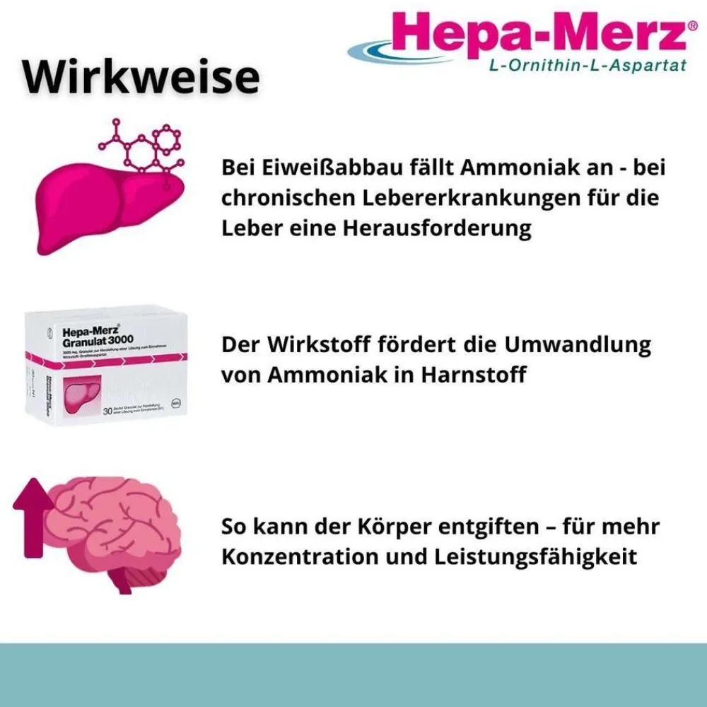 ® Granulat 3000>Hepa Merz
