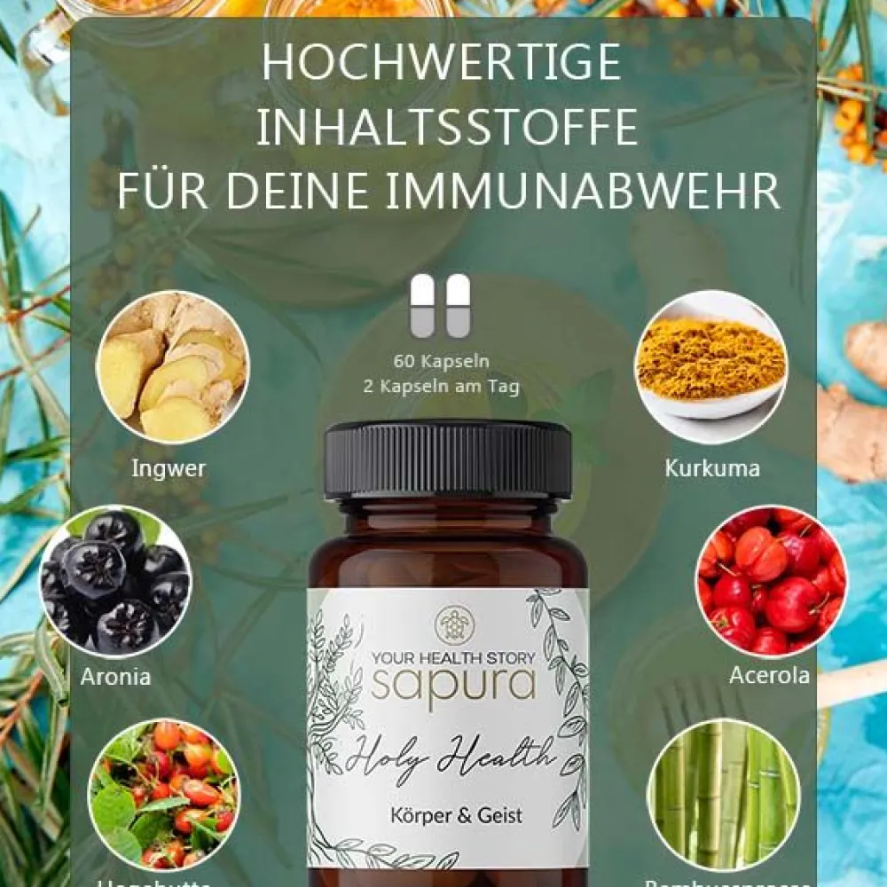 Holy Health Magnesium & Vitamin Komplex mit MSM + L-Lysin * | 60 Kapseln|sapura