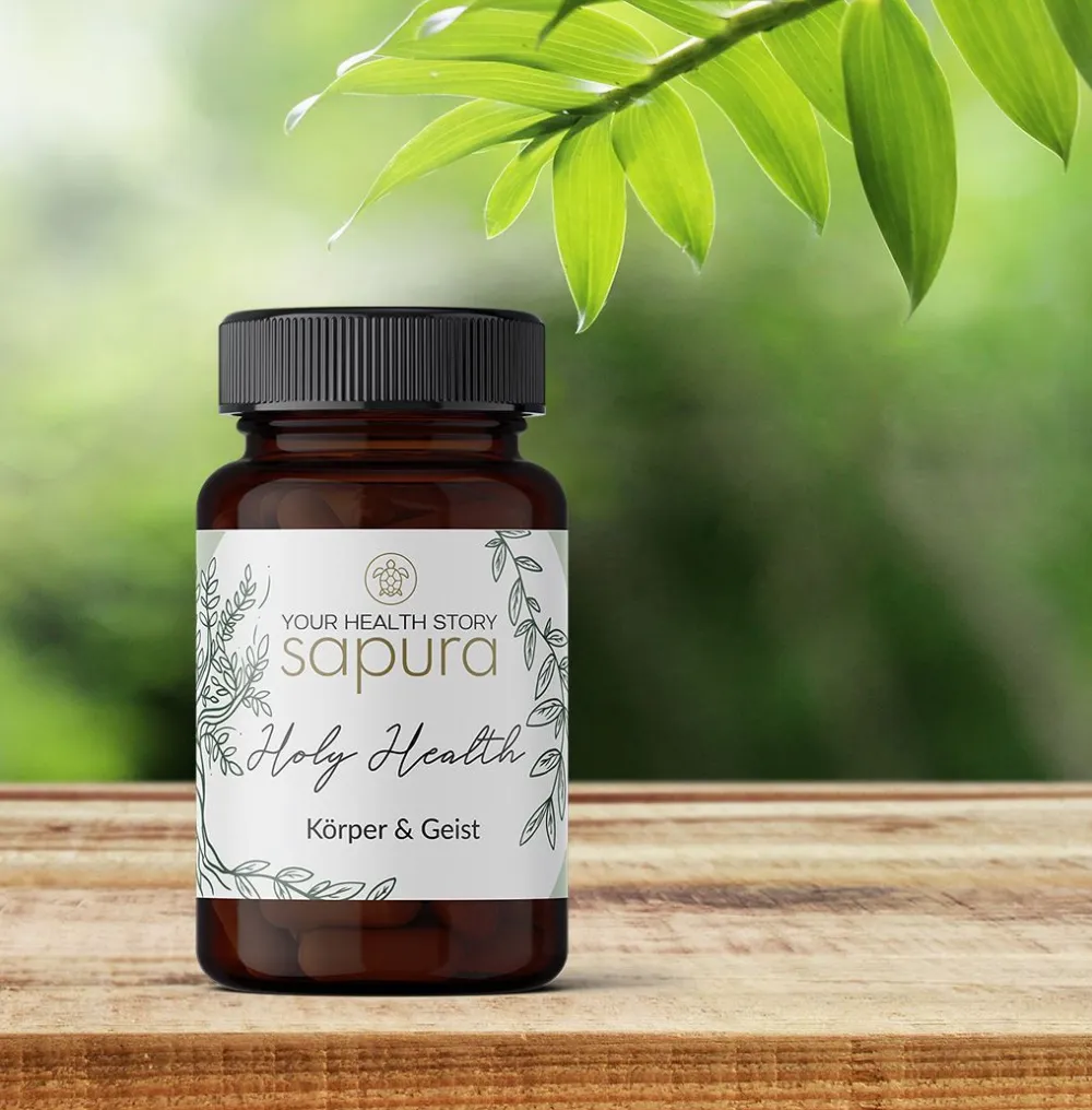 Holy Health Magnesium & Vitamin Komplex mit MSM + L-Lysin * | 60 Kapseln|sapura