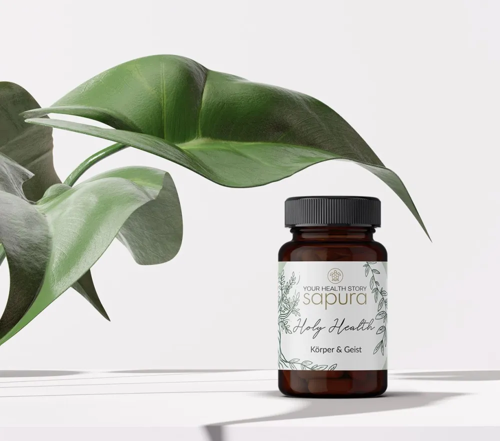 Holy Health Magnesium & Vitamin Komplex mit MSM + L-Lysin * | 60 Kapseln|sapura