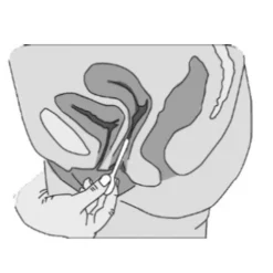 Horny Hive Vaginaler pH-Wert-Test> Discount