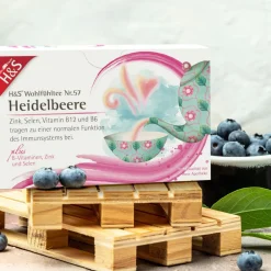 H&S Wohlfühltee plus Heidelbeere>H&S Arzneitee Hot