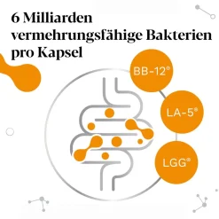 IberoBiotics® Pro - die PROaktive Ergänzung mit vermehrungsfähigen Bakterienstämmen - Jetzt 20% mit dem Code 20 sparen*><noscript><img width=