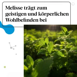 IberoBiotics® Zen - für ein gutes Bauchgefühl in stressigen Zeiten - Jetzt 20% mit dem Code 20 sparen*|Iberogast Sale