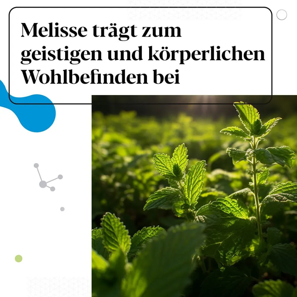 IberoBiotics® Zen - für ein gutes Bauchgefühl in stressigen Zeiten - Jetzt 20% mit dem Code 20 sparen*|Iberogast Sale