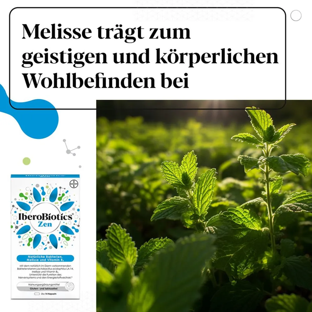 IberoBiotics® Zen + Iberogast® Classic> Discount