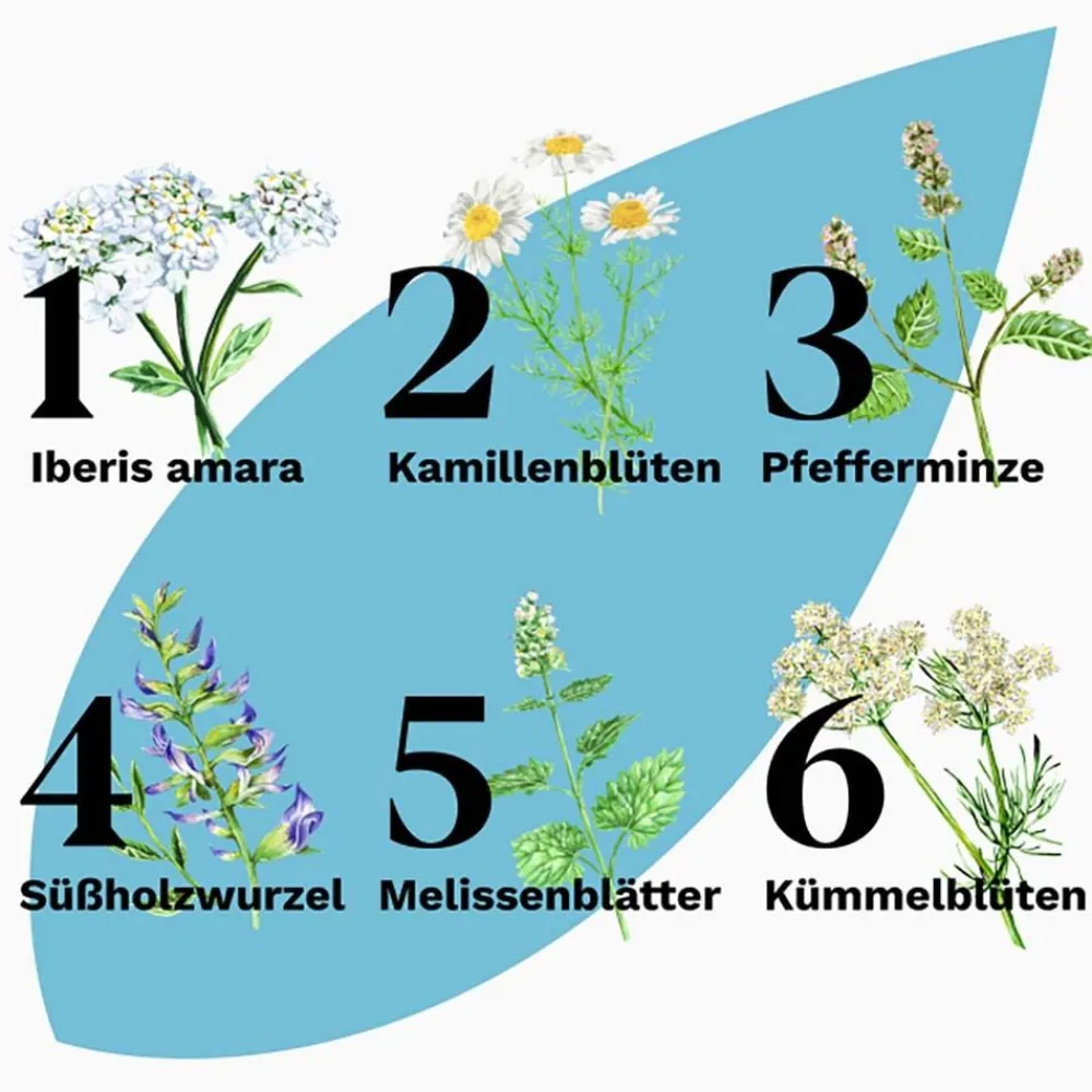 ADVANCE lindert wiederkehrende Magen-Darm-Beschwerden - Jetzt 20% mit dem Code 20 sparen*|Iberogast Best