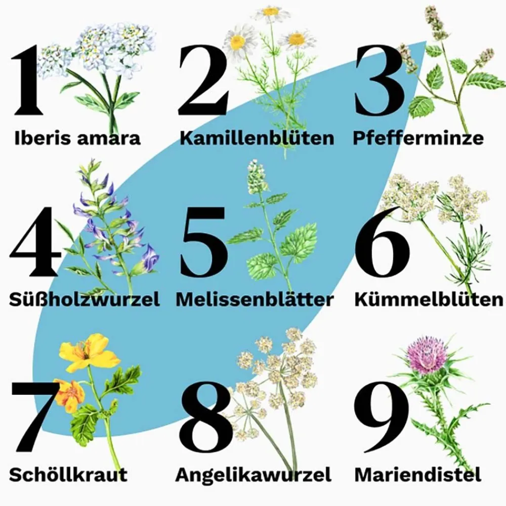 Classic – Schnelle Linderung bei akuten Magen-Darm-Beschwerden - Jetzt 20% mit dem Code 20 sparen*|Iberogast