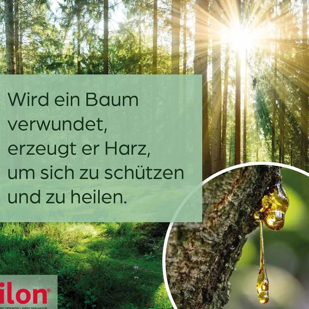 ilon® WUNDXTRA Salbe> Outlet
