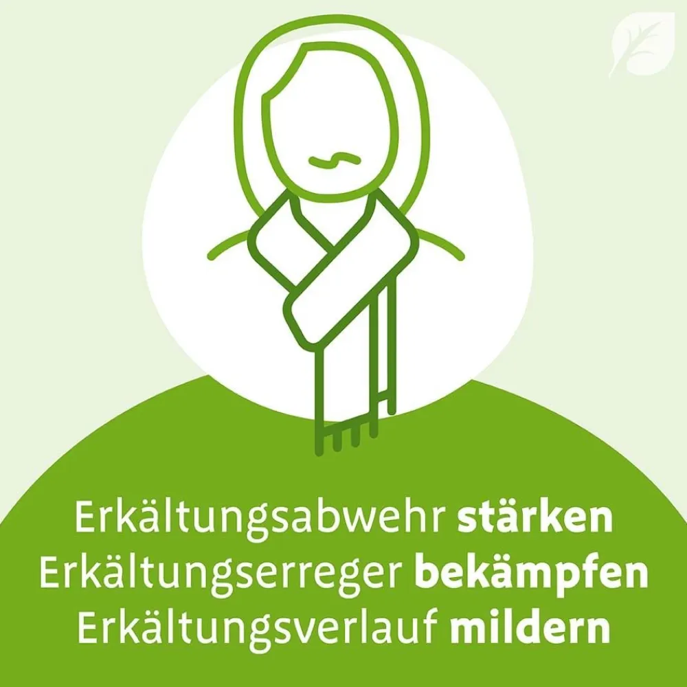 ® N Dragees - bei ersten Erkältungsanzeichen>Imupret Best
