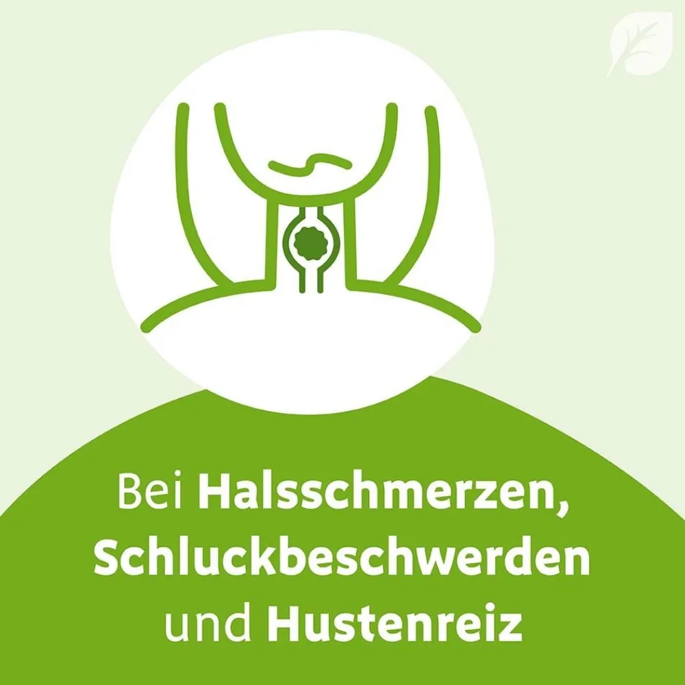 ® N Dragees - bei ersten Erkältungsanzeichen|Imupret Discount