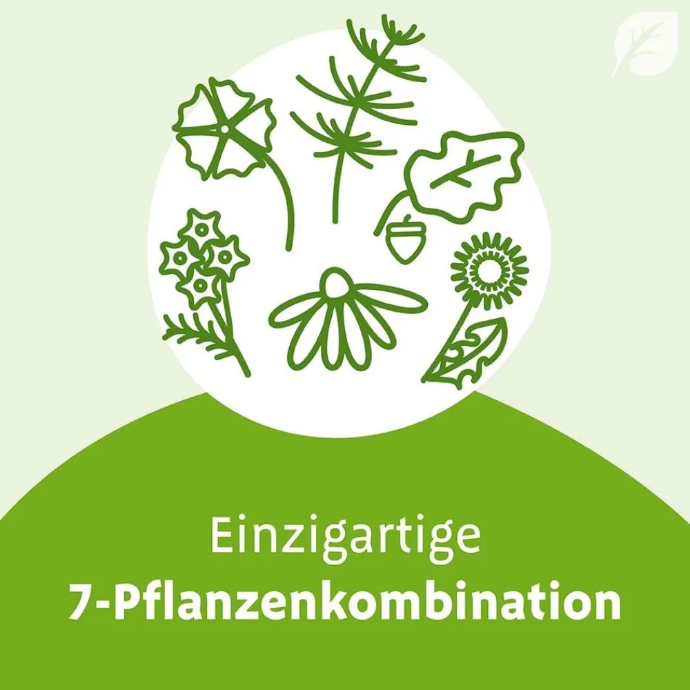 ® N Dragees - bei ersten Erkältungsanzeichen|Imupret Discount