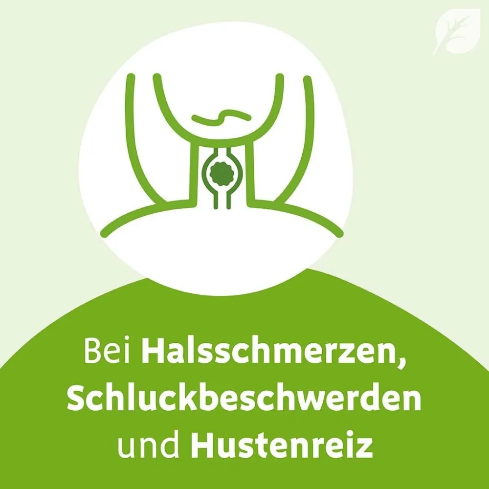 ® N Tropfen – können bei beginnender Erkältung die Erkältungsabwehr stärken, Erkältungserreger bekämpfen und den Erkältungsverlauf mildern, mit 7-Pflanzenkombination|Imupret Hot