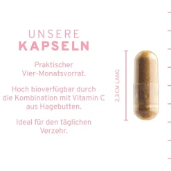 Eisen + Vitamin C Kapseln | aus Curryblatt-Extrakt und Hagebutte-Extrakt|InnoNature New