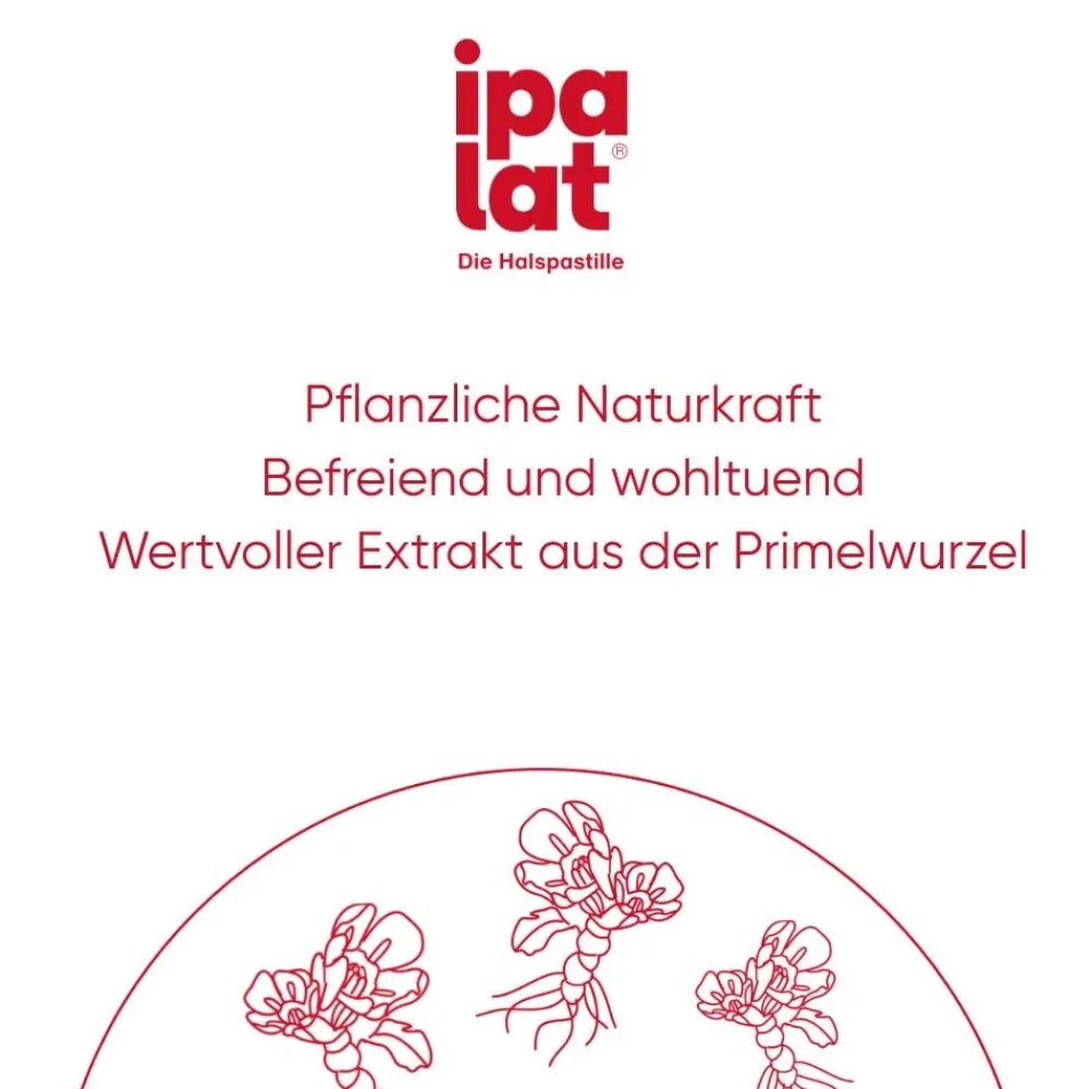 ipalat® Halspastillen zuckerfrei>ipalat Halspastillen