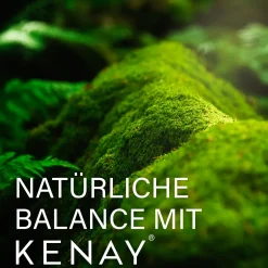 JOD Ökologische Algen-Ascophyllum nodosum - Kelp PureSea® | KENAY®><noscript><img width=