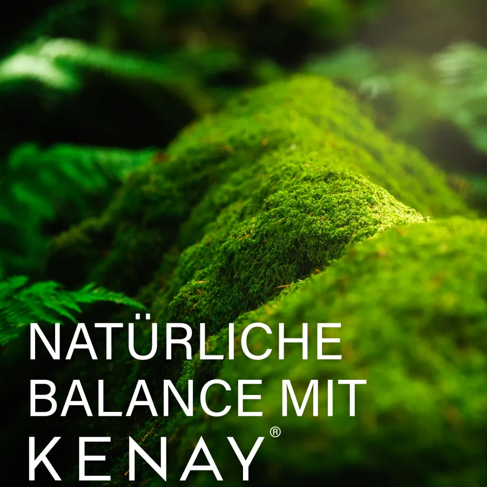 JOD Ökologische Algen-Ascophyllum nodosum - Kelp PureSea® | KENAY®> Online