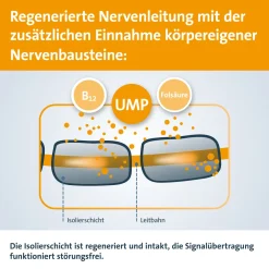 Keltican® forte Kapseln mit Uridinmonophosphat (UMP), Vitamin B12 und Folsäure zur Unterstützung der Nervenregeneration - Jetzt 10% mit dem Code dermapharm10 sparen*|Keltican forte Hot