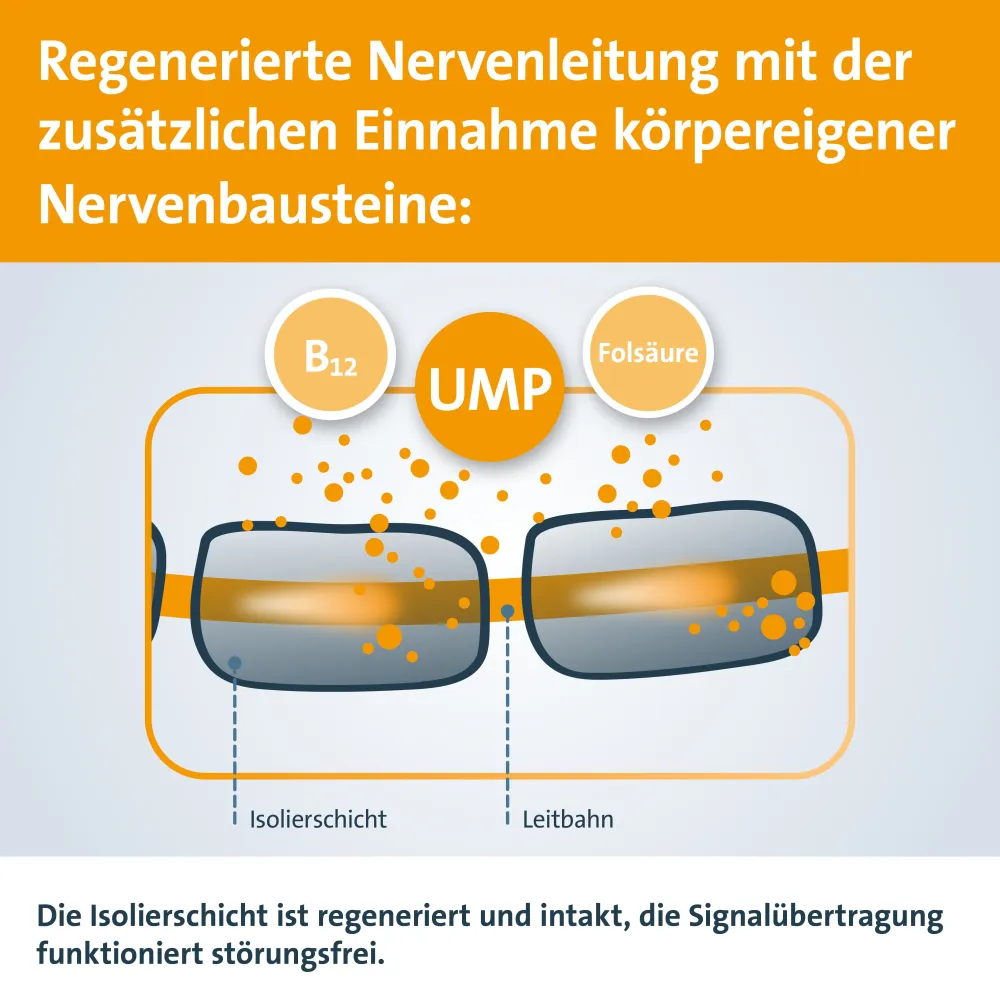 Keltican® forte Kapseln mit Uridinmonophosphat (UMP), Vitamin B12 und Folsäure zur Unterstützung der Nervenregeneration - Jetzt 10% mit dem Code dermapharm10 sparen*|Keltican forte Hot