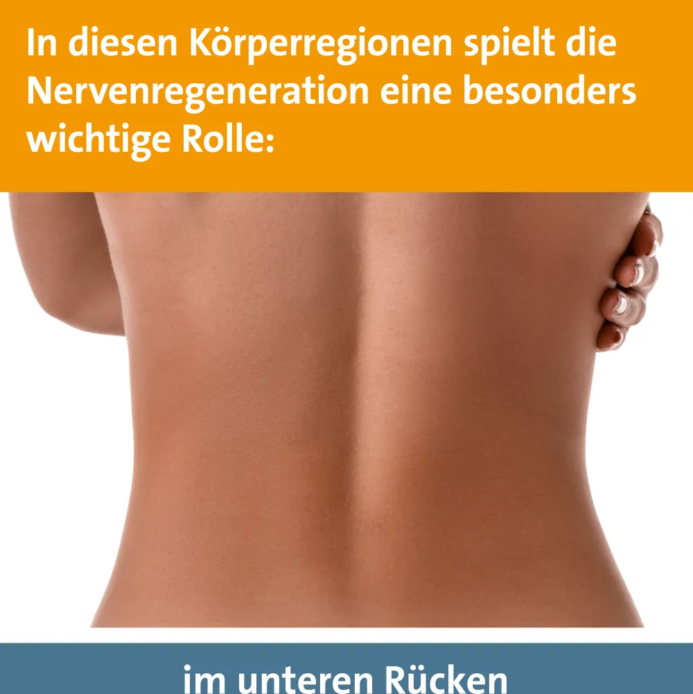 Keltican® forte Kapseln mit Uridinmonophosphat (UMP), Vitamin B12 und Folsäure zur Unterstützung der Nervenregeneration - Jetzt 10% mit dem Code dermapharm10 sparen*|Keltican forte Hot