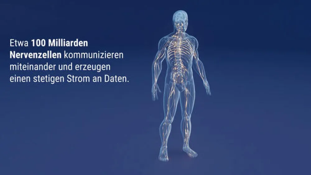 Keltican® forte Kapseln mit Uridinmonophosphat (UMP), Vitamin B12 und Folsäure zur Unterstützung der Nervenregeneration - Jetzt 10% mit dem Code dermapharm10 sparen*|Keltican forte