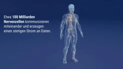 Keltican® forte Kapseln mit Uridinmonophosphat (UMP), Vitamin B12 und Folsäure zur Unterstützung der Nervenregeneration - Jetzt 10% mit dem Code dermapharm10 sparen*>Keltican forte Online